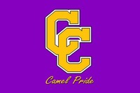 3 CCHS bands earn distinguished rankings