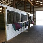 Dancing Horse Farm provides…