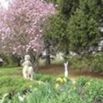 Bellevue Neighborhood…